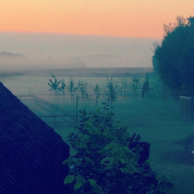 Bed & Breakfast Karakter Den Dungen 外观 照片